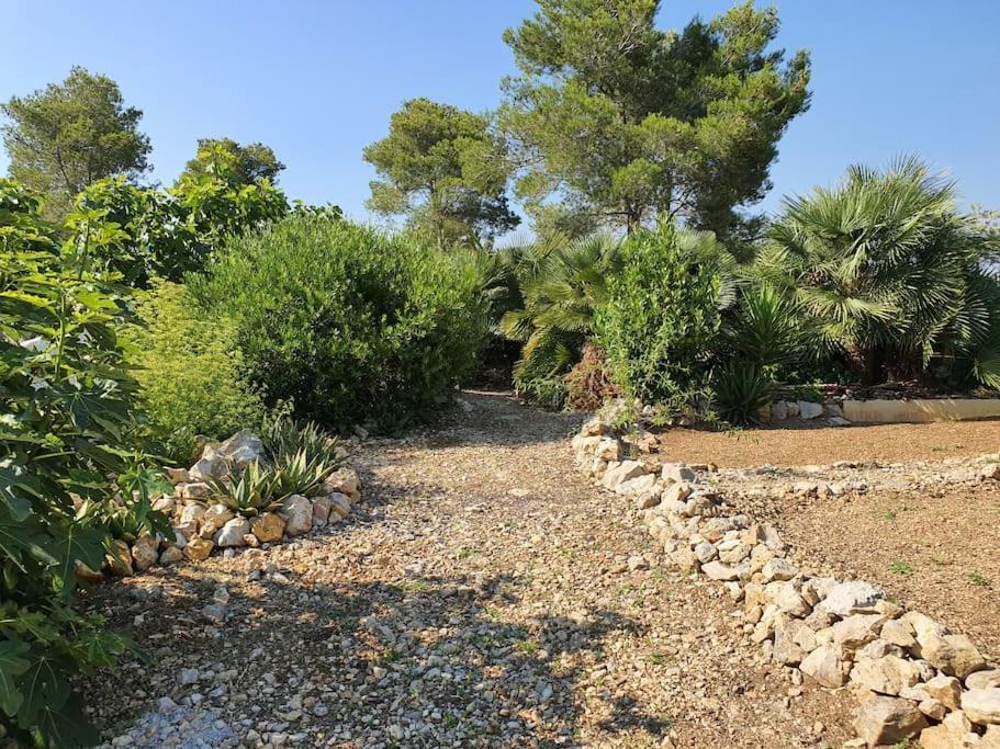 Le Petit Paradis Olivella المظهر الخارجي الصورة