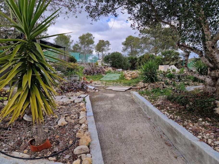 Le Petit Paradis Olivella المظهر الخارجي الصورة